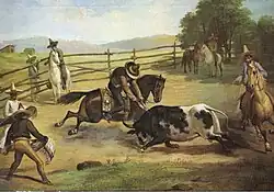 Banderillas á caballo en el campo.