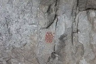 Pinturas del Abrigo de Barfaluy (Sierra de Guara, Huesca, España).