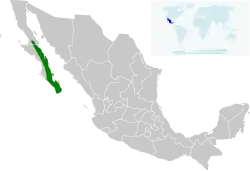 Distribución geográfica del colibrí de Xantus.