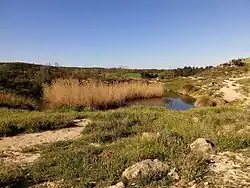 Secans de Mas de Melons-Alfés