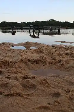 Vista del Río Blanco desde la orilla en Bella Vista (Beni), Bolivia.