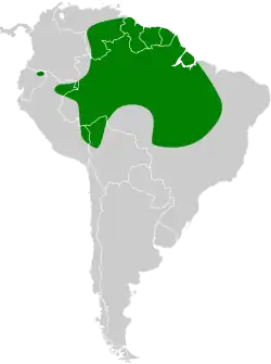 Distribución geográfica del palmero.