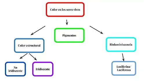 Los colores en los seres vivos se generan de tres maneras que pueden combinarse