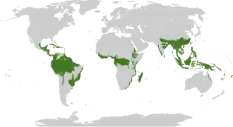 Distribución geográfica de los bosques lluviosos tropicales y subtropicales