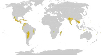 Distribución de los bosques secos en el mundo