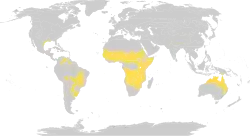 Distribución global de las praderas tropicales y subtropicales (Sabanas).