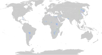 Distribución global.