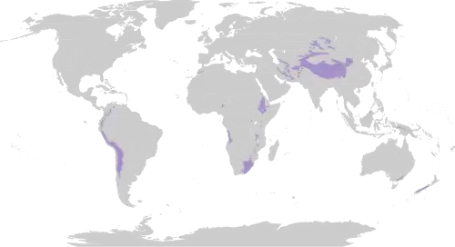 Mapa de distribución de praderas y matorrales de montaña