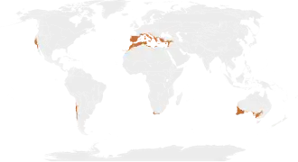 Localización del bosque mediterráneo
