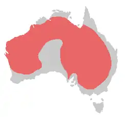 Distribución de la cacatúa ninfa