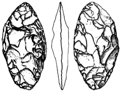 Blattspitzen centroeuropea