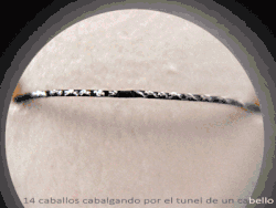 Microescultura de Manuel Ussà