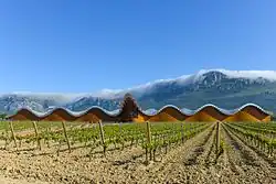 Bodegas Ysios, 1998-2001 (Laguardia)