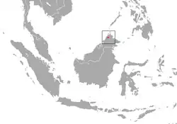 Distribución del tejón turón de Borneo
