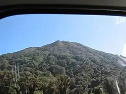 Bosque de los flancos del volcán.