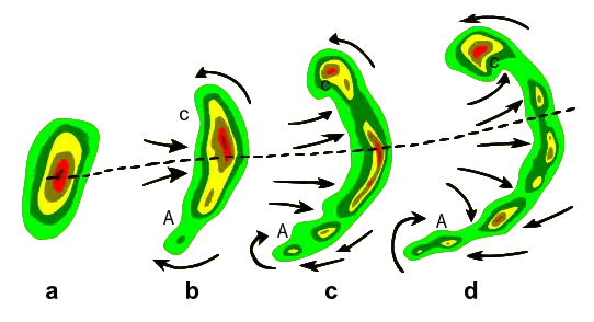 Típica evolución de un eco de radar de una tormenta (a) dentro del eco en arco (b, c) y dentro de un eco en coma (d). La línea punteada indica el eje del mayor potencial de las ráfagas descendentes. Las flechas indican los flujos de viento relativos de la tormenta. Se notan regiones de rotación ciclónica (C) y de rotación anticiclónica (A); ambas regiones, especialmente C, son capaces de soportar el desarrollo de tornados en algunos casos.