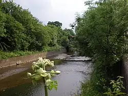 El río Brent cerca de Greenford.