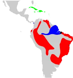 Verde = secc Brunfelsia, rojo = secc Franciscea, azul = secc Guianenses, negro = secc Franciscea y Guianenses