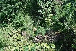 Ruinas de la fortaleza de Bukistsije