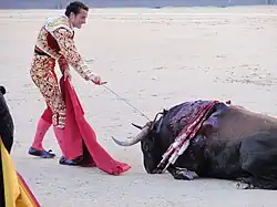 Torero utilizando el estoque