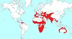 distribución de género