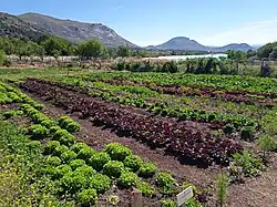 Finca de agricultura ecológica en Bustarviejo (España)