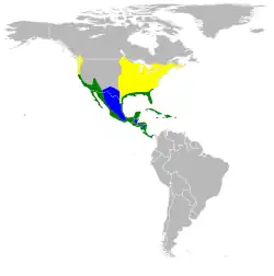 Nidificación Invernada Todo el año