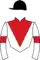 Horse racing silks