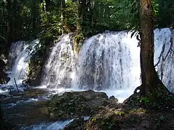 WATERFALL NEAR THE BONAMPAK CROSSROADS