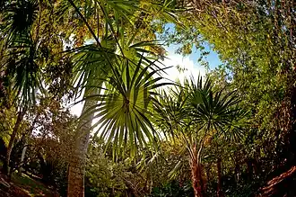 El Jardín Botánico Regional "Roger Orellana" fue declarado Museo Vivo de Plantas y Unidad de Manejo para la Conservación de la Vida Silvestre.