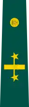 Insignia de coronel Ejército Nacional de Colombia.