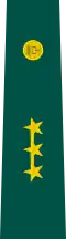 Insignia de capitán del Ejército