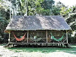 Uso de Geonoma deversa