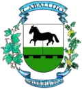 Emblema oficial del barrio de Caballito