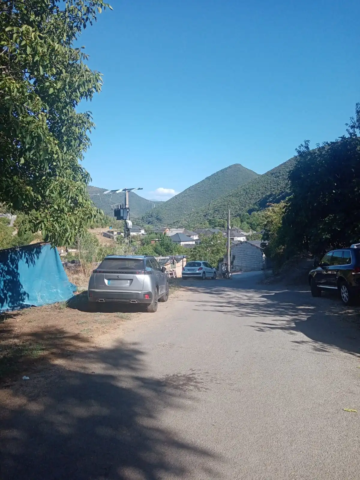 Foto de Cabeza de Campo