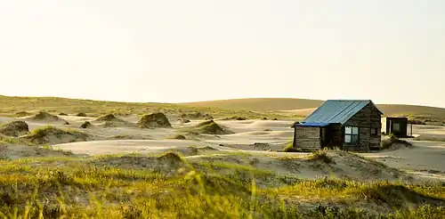 Dunas del Parque Nacional Cabo Polonio, Rocha.