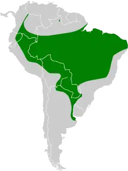 Distribución del Boyero Negro