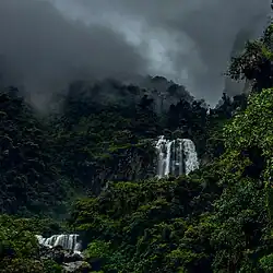 Parque Carrasco, caída de agua en el bosque lluvioso de Sehuencas