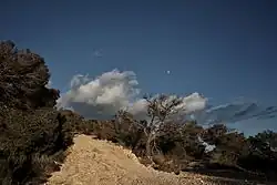 Cap Llentrisca - Sa Talaia