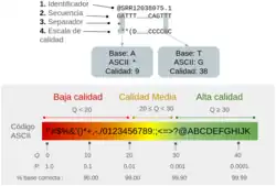 Diagrama que explica la estructura de un archivo FASTQ utilizado en bioinformática. El archivo consta de cuatro partes: identificador (un encabezado que describe la secuencia, como @SRR12038075.1), secuencia de nucleótidos (por ejemplo, GATTT...CAGTTT), un separador (+) y una línea de calidad que utiliza caracteres ASCII para codificar los valores de calidad de cada base. En el diagrama, se muestra cómo los valores ASCII (por ejemplo, * y G) se traducen en valores de calidad Phred (Q) y precisión. Además, se clasifica la calidad de las bases en tres niveles: baja calidad (Q < 20, precisión del 90%), calidad media (20 ≤ Q < 30, precisión del 99%) y alta calidad (Q ≥ 30, precisión del 99.9%).