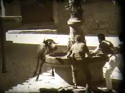 Toros en la Plaza Mayor