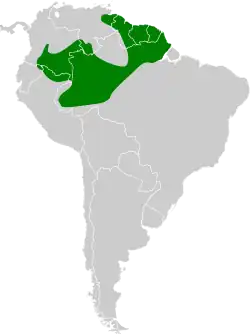 Distribución geográfica del picoguadaña amazónico.
