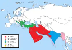 Distribución del chacal indio