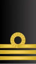 Insignia de Teniente coronel (Infantería de Marina)/Capitán de Fragata de la Armada