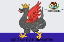 Bandera presuntamente usada por los carabineros de Pachuca durante la Guerra de Reforma y La intervención Francesa.