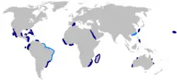 Range of the bignose shark