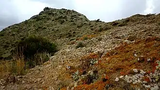 Cerro volcánico del Carmolí.