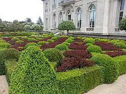 Parterre fronterizo de Duchêne, 2013.
