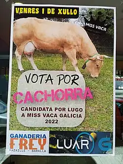Cartel para Miss Vaca en Baralla