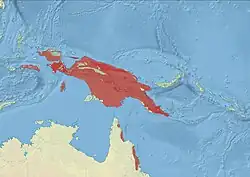 Distribución de las tres especies actuales